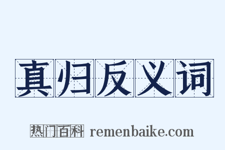 真归反义词是什么意思的图片